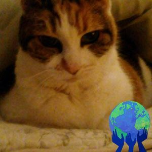 Meet your Posher, Fred